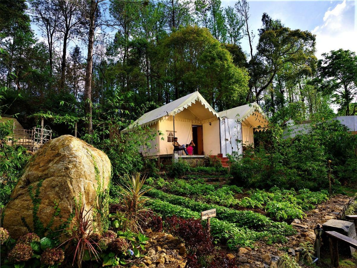 Bison Woods Otel Yercaud Dış mekan fotoğraf