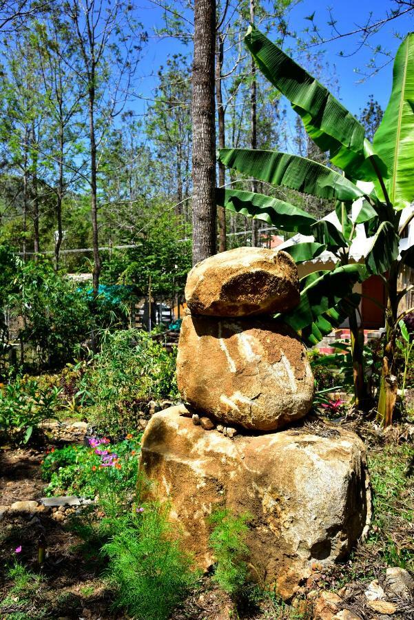 Bison Woods Otel Yercaud Dış mekan fotoğraf